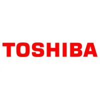 Ремонт ноутбука Toshiba в Новоселье
