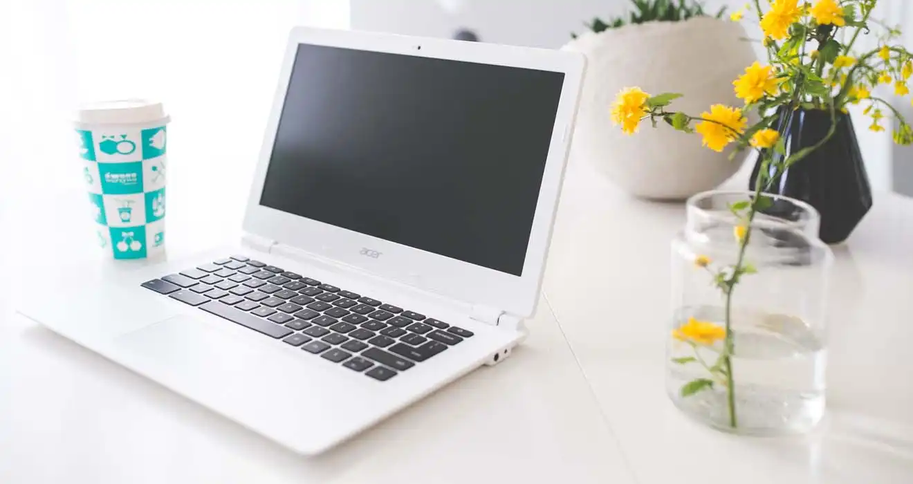 Ремонт ноутбуков Acer в Новоселье