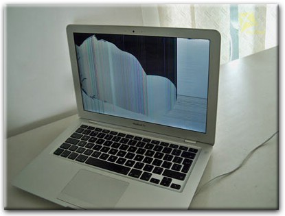 Замена матрицы Apple MacBook в Новоселье