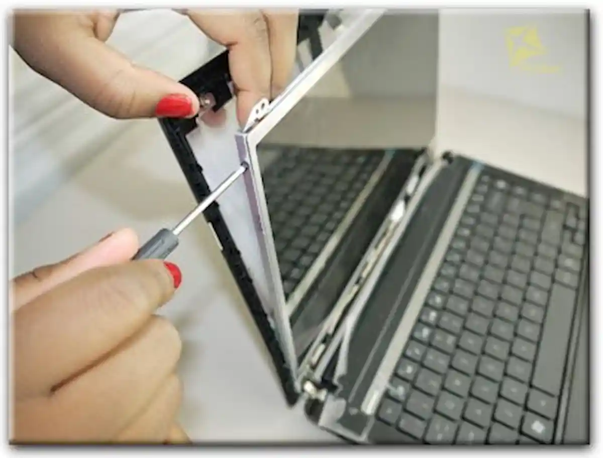 Замена экрана ноутбука Packard Bell в Новоселье